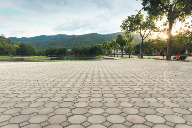 Best Driveway Pavers Installation  in Oak Grove, TN