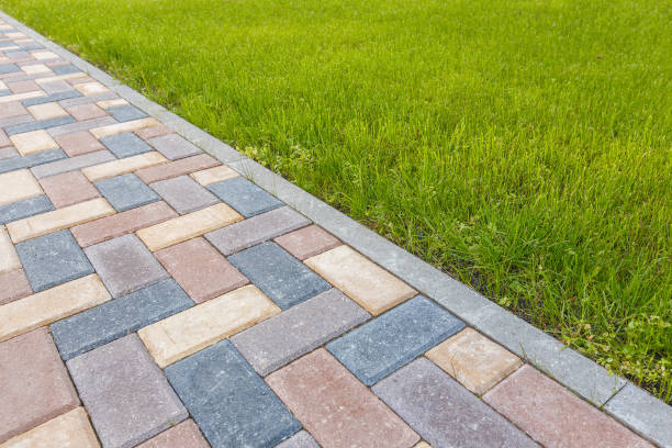 Best Driveway Paving Contractor  in Oak Grove, TN